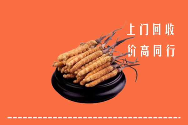 高价求购：金湾区回收散虫草
