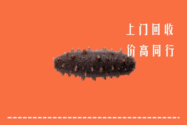 高价求购：金湾区回收海参