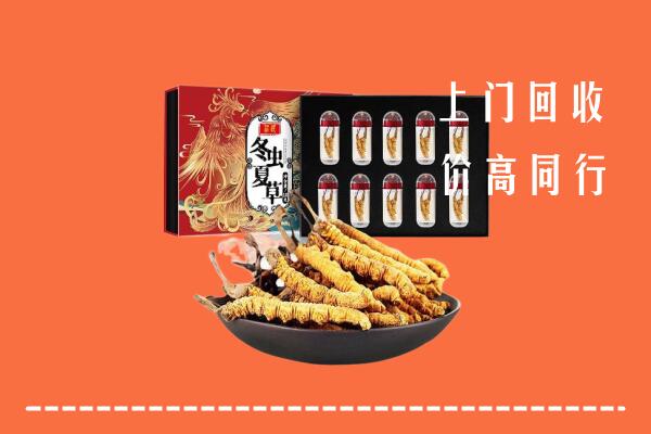 金湾区回收虫草